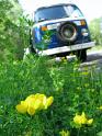 1974-vw-bus-pop-top-530