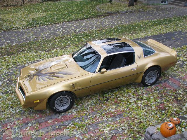 1978-pontiac-trans-am-731.jpg